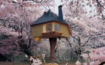 10 Creative Tree House Ideas