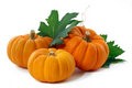 Pumpkins Are Not Just For Carving Jack-0-Lanterns
