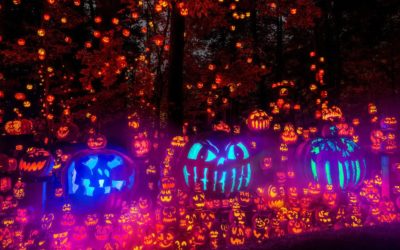 Jack – O – Lantern Spectacular