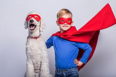 Halloween Costumes You Can Make At Home (Diy) | Taylor Homes Super Hero