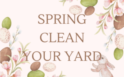 Spring Clean Your Yard