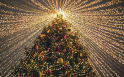 Best Places to See Christmas Lights This Holiday Season